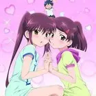 《kiss×sis 亲亲姐姐》：禁断之恋与青春的甜蜜碰撞